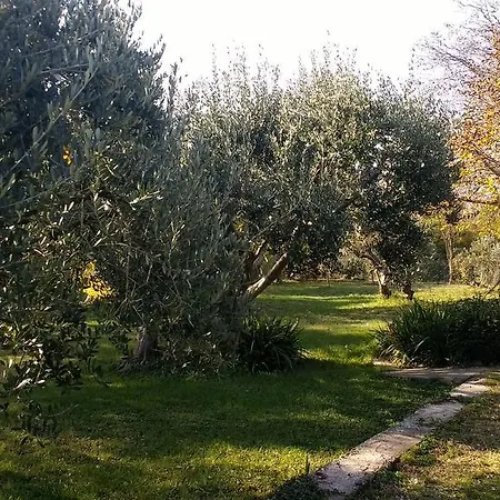 Roncatti